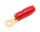 1x Ring-Kabelschuhe vergoldet für 6mm² M4  (rot)