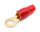 1x Ring-Kabelschuh vergoldet für 16mm² M8  (rot)