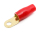 1x Ring-Kabelschuh vergoldet für 35mm² M10  (rot)