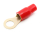 1x Ring-Kabelschuh vergoldet für 35mm² M12  (rot)