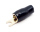 Gabel-Kabelschuh vergoldet für 25mm² M4  (schwarz)