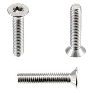 1x Senkkopfschraube M4x70  (ISO 14581 - TX, A2)