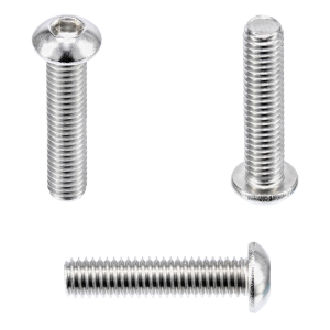 1x Linsenkopfschraube M2,5x10  (ISO 7380-1 - ISK, A2)