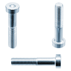 1x Zylinderschraube M8x10  (DIN 7984 - niedriger Kopf -...